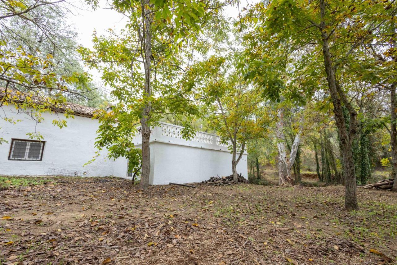 Molino De Gris Cazorla Villa Chilluevar Eksteriør bilde