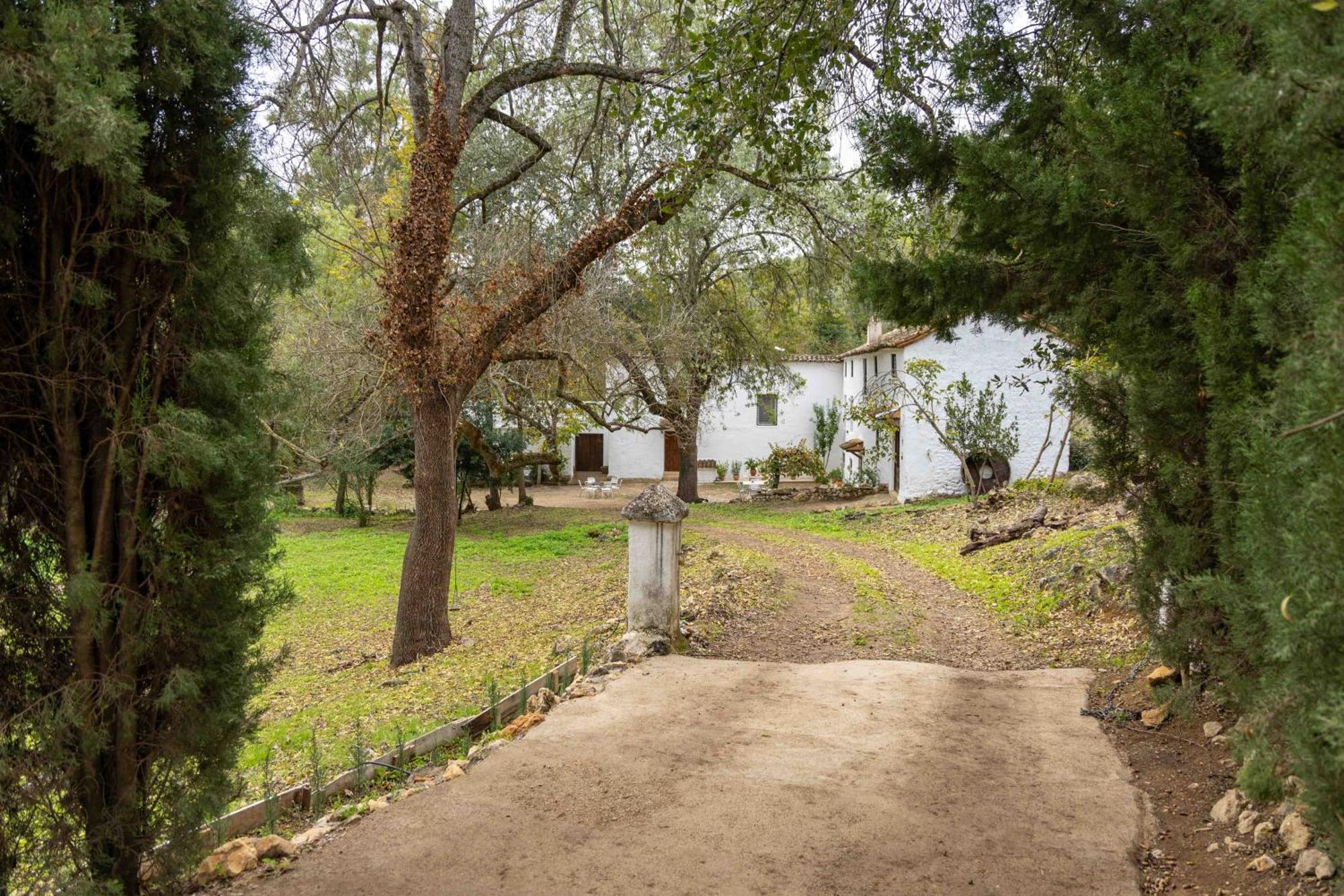 Molino De Gris Cazorla Villa Chilluevar Eksteriør bilde